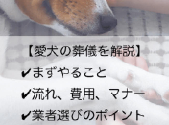 愛犬の葬儀の流れって 費用やマナー 亡くなったらすべきことを解説